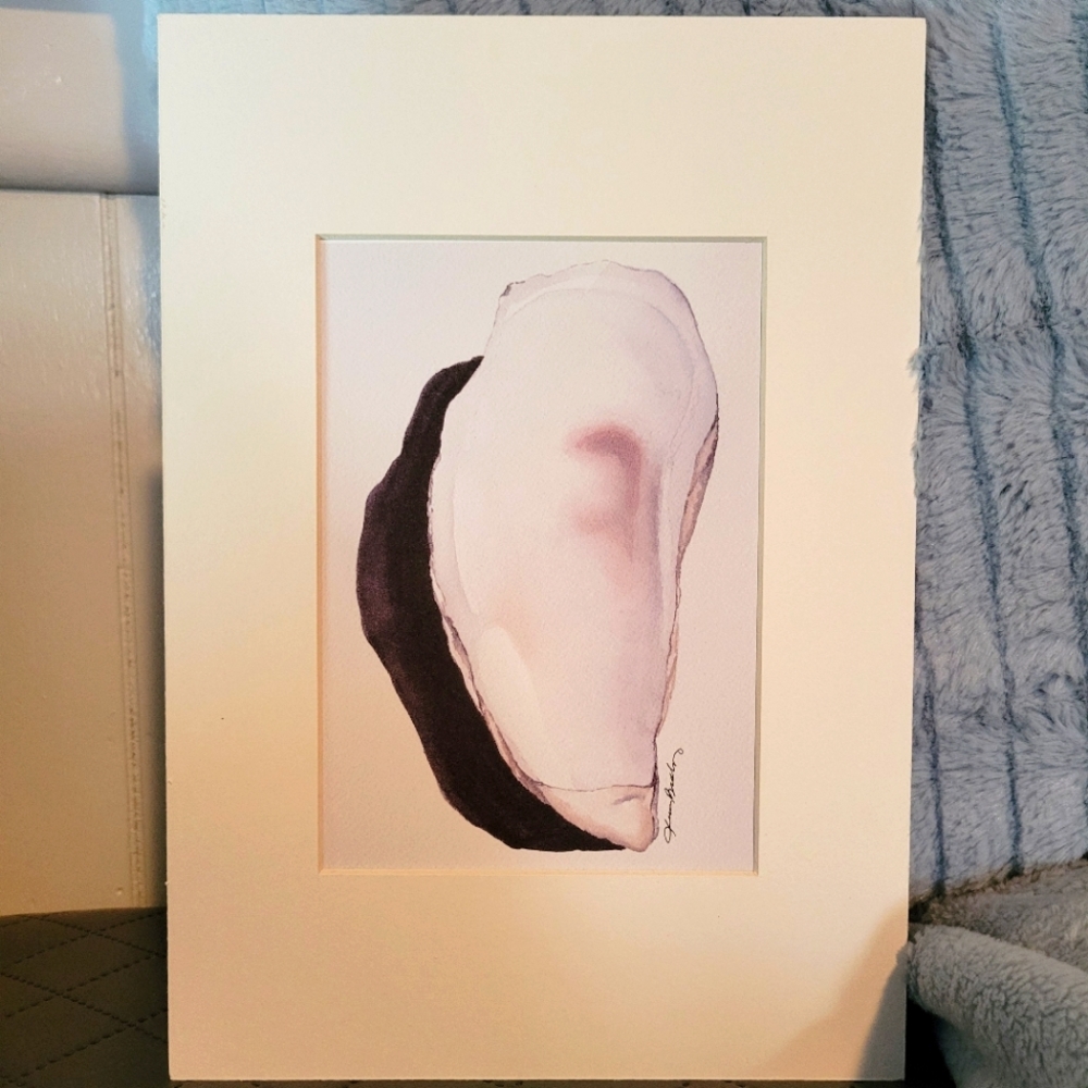 Oyster Shell, Seashell, Fine Art Print w/ Mat